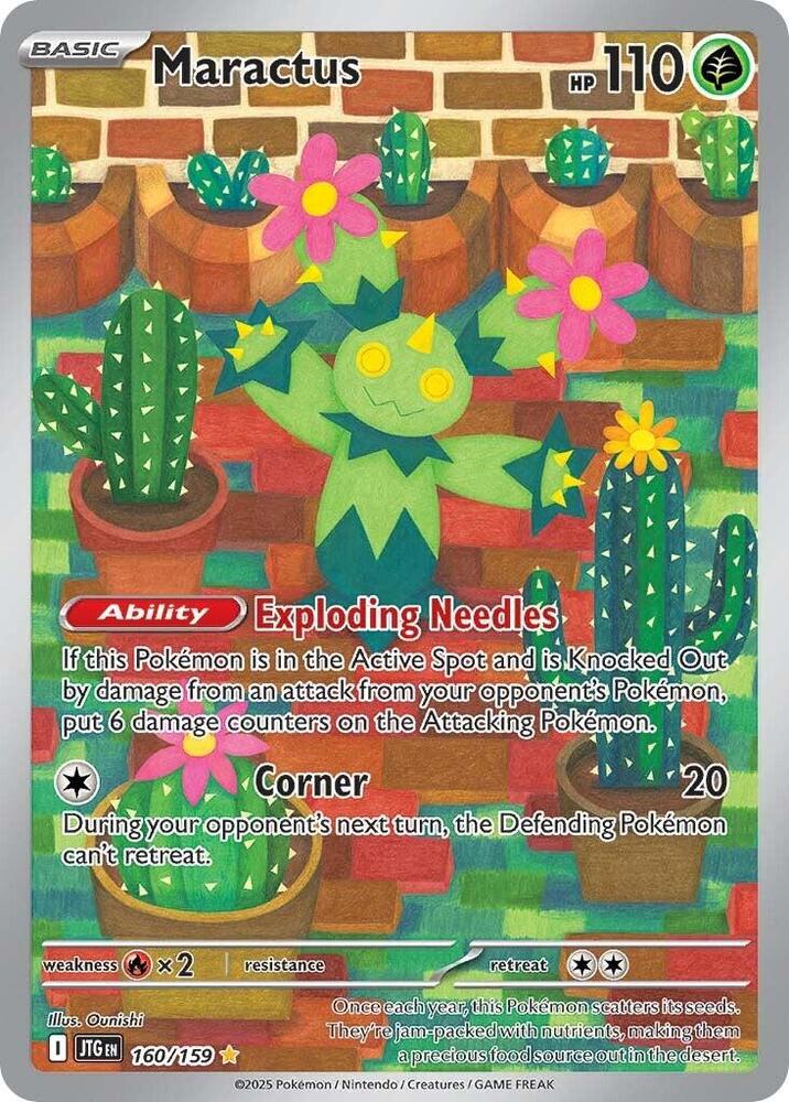 Journey Together Maractus