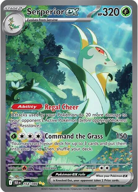 Black Bolt Serperior ex