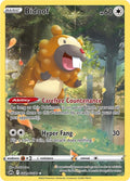 Crown Zenith Bidoof