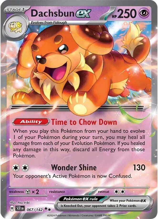Stellar Crown Dachsbun ex